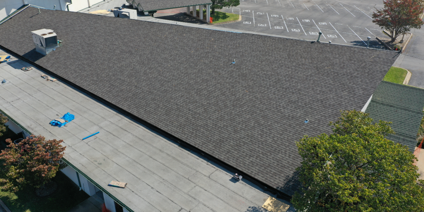 shingle article